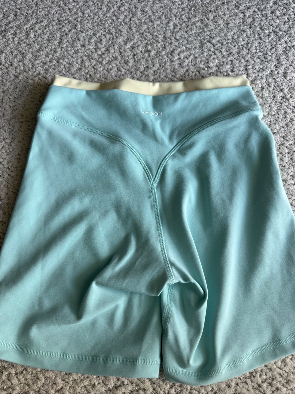 Liaison Women's Aqua and daylight sculpt Shorts